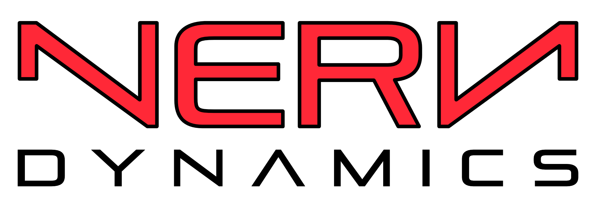 Nerv Dynamics